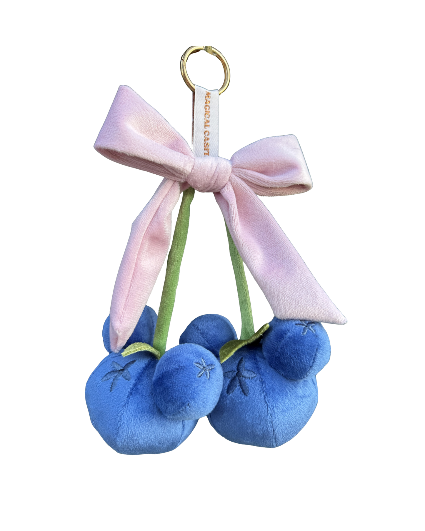 BLUEBERRY PARK CHARM
